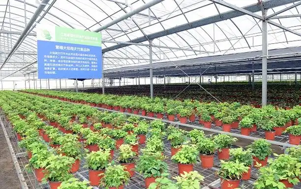 江苏丨示范引领盐城加快描绘农业农村现代化画卷