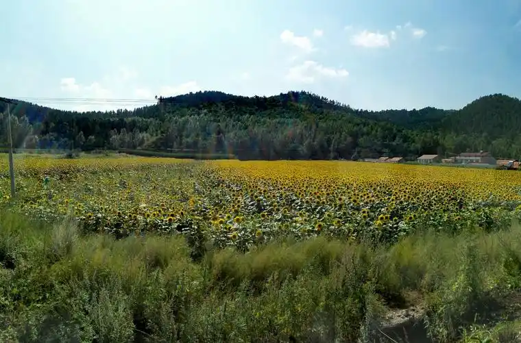 辽河源国家森林公园