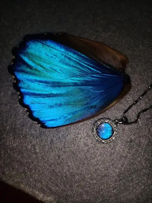 手工蓝闪蝶饰品