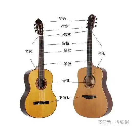 01吉他各部位名称