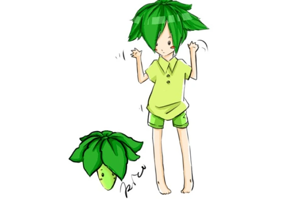 叶子保护伞保护范围