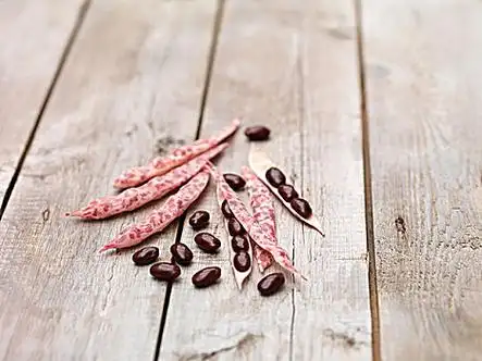 静物,红云豆,荚,木桌子