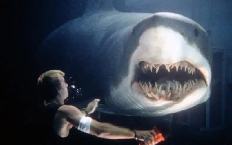 成为大会员深海狂鲨