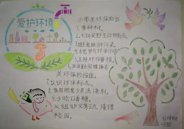二(三)班环保手抄报