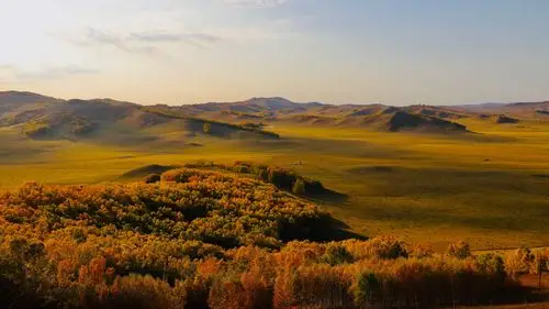 流在这丛林草原之中,生生相依,互存共生的法则,形成大自然最美的家园