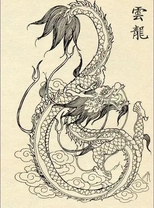 中国龙白描欣赏三020202学习的最佳范本