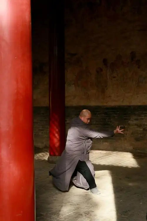 2311,少林罗汉拳