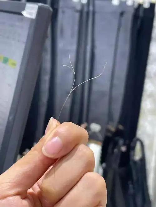 头发分叉能有多厉害?我觉得我分叉的头发都能出道了