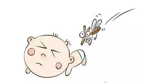 蚊子喜欢什么血型 蚊子不会分辨人的血型(叮人主要靠气味)