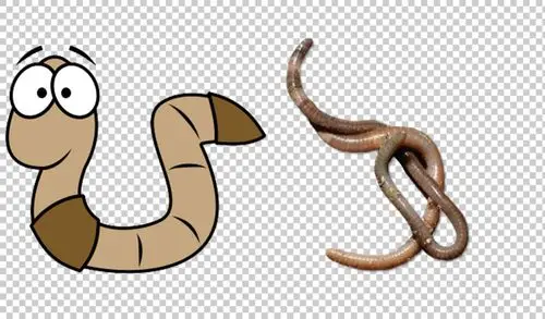 卡通蚯蚓免抠png透明图层素材设计元素素材免费下载(图片编号:8918844