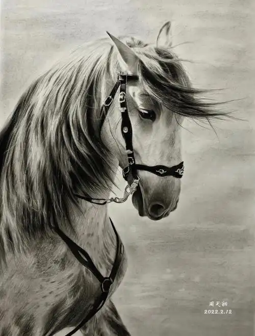 素描动物骏马一匹在海边奔驰的白马