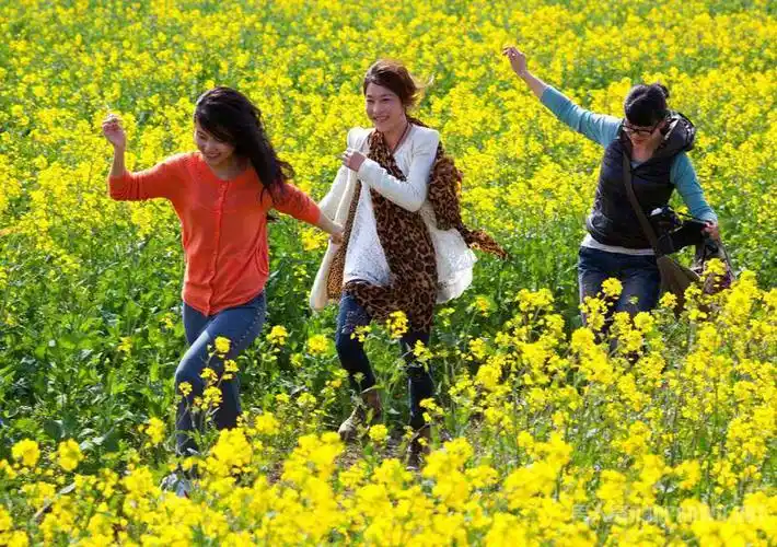 和舒服的人在一起就是养生