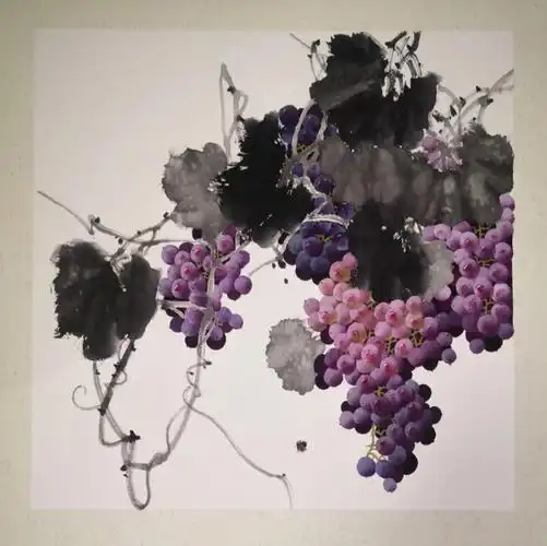 国画水墨葡萄