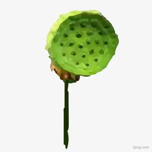 水彩绿色莲蓬png素材透明免抠图片-卡通手绘