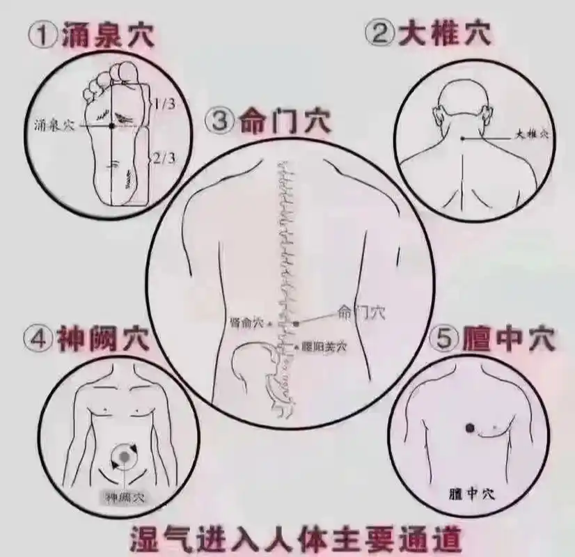 立秋后寒湿气最容易通过这五个穴位进入人体 96立秋