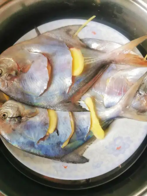 99996993做法:16615鲳鱼处理干净,切花刀方便入味!