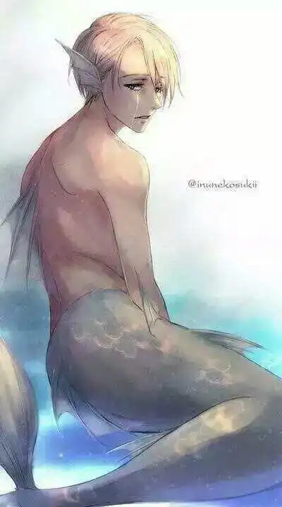 男鲛人倾国亦倾城