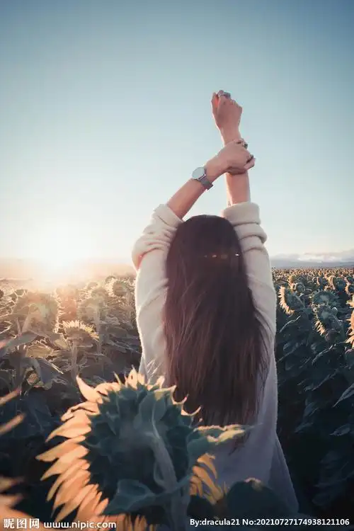 逆光向日葵女生背影