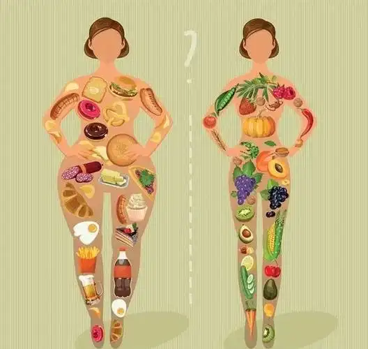 胖人和瘦子饮食结构的区别
