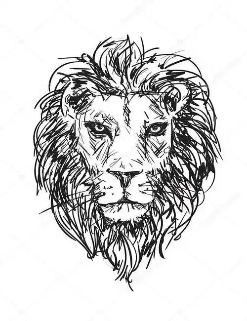 手绘矢量速写的一头狮子