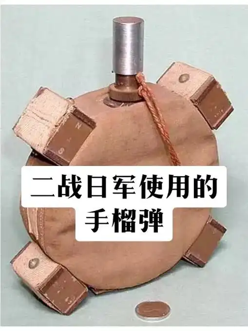 摘自《二战陆军单兵装备:日本》采用图 - 抖音