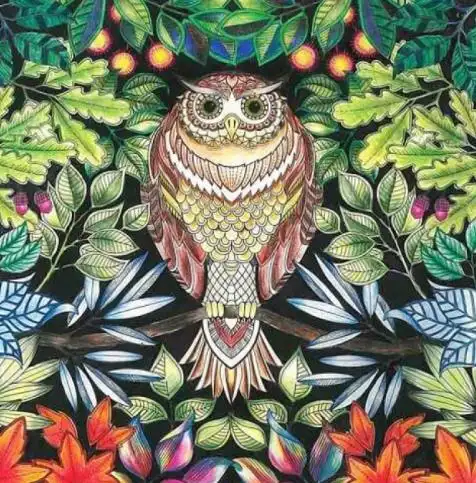 秘密花园涂色本效果图