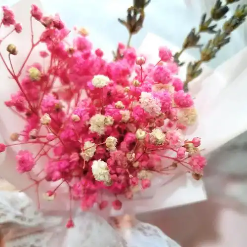 三八节迷你满天星干花小花束伴手礼拍照道具礼盒装饰花束套盒配花