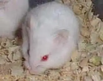 03 图片_百度百科