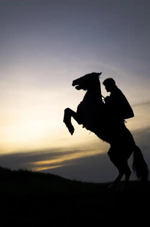 【风光月赛 朝夕时光】夕阳下马背上的哈萨克小伙子