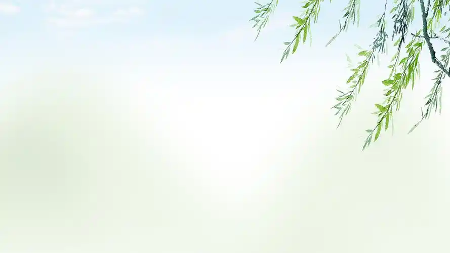 朦胧唯美春绿小清新高清背景