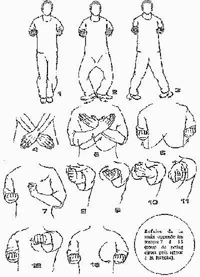浅谈咏春拳与截拳道(附小念头图谱