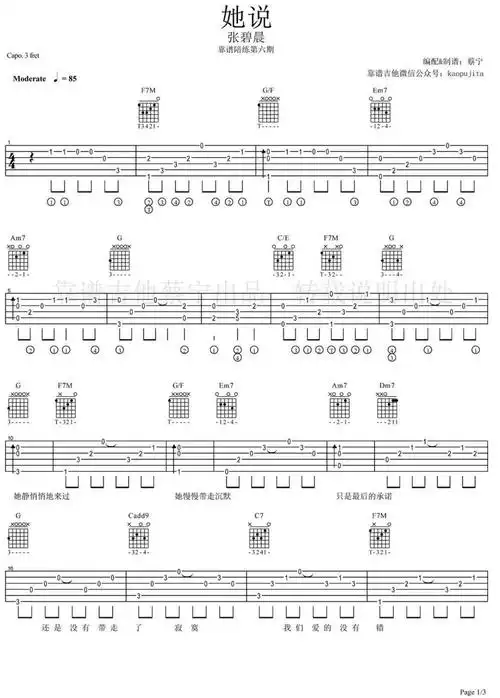 她说_吉他谱_张碧晨曲谱图片第1张