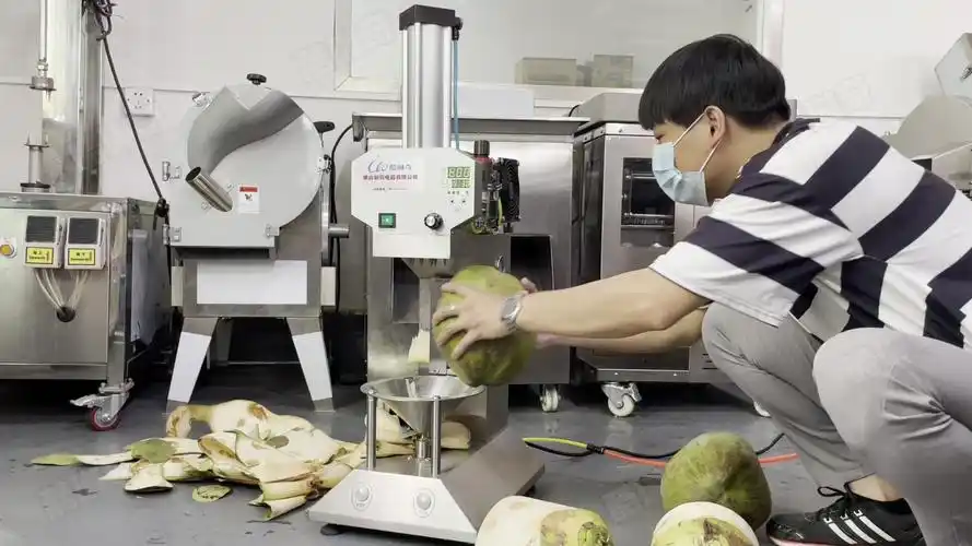 *海口热带雨林台式椰子削皮机 老嫩椰子剥皮机电动台式刨皮机设备