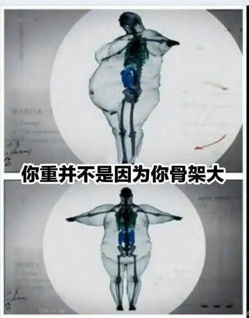 胖子和瘦子的区别到底有多大看到身上这几斤肉你不想减肥都难