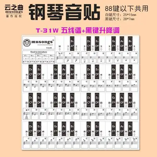 钢琴贴纸黑键白键音阶贴纸通用t-30z字母黑色英文字组886149键