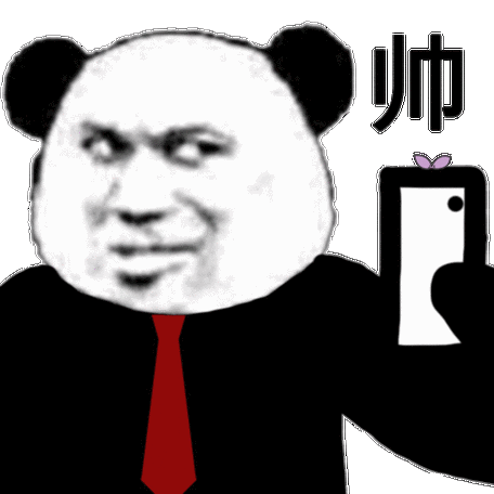 帅小伙熊猫头手机自拍