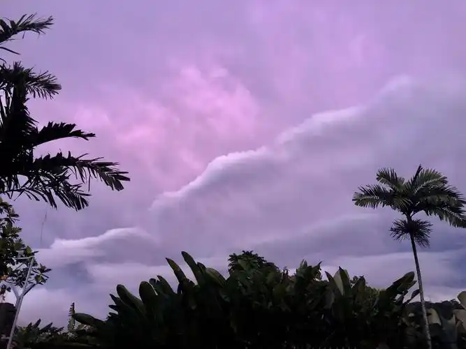 天边,那一片紫色的云浪