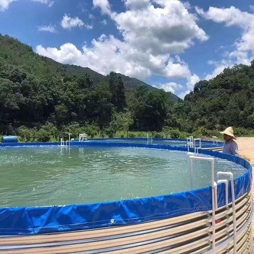 镀锌板帆布鱼池圆形帆布水池高密度养殖桶养虾池发酵池户外蓄水池 550