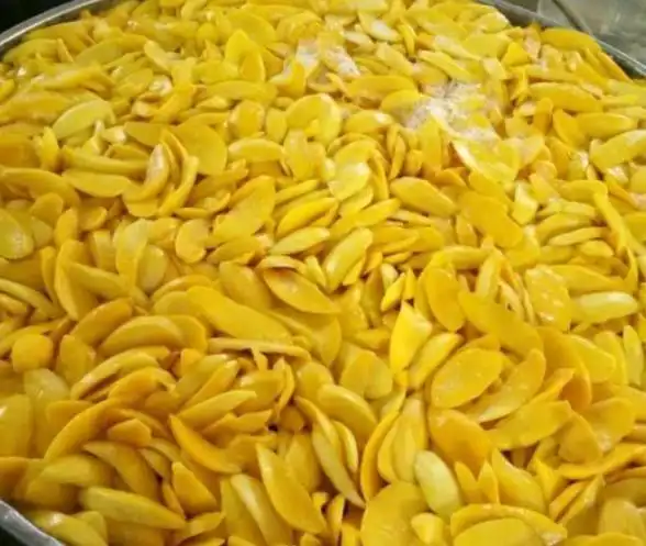 芒果干烘干制作方法-公司新闻-开环烘干_香菇烘干房_气调保鲜库-冷库