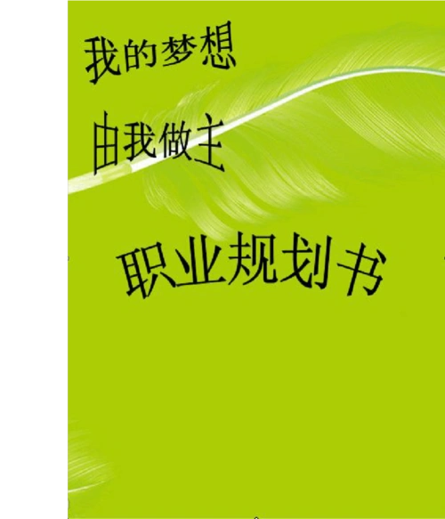 免费文档 所有分类 求职/职场 职业规划 规划书封面1 规划书封面