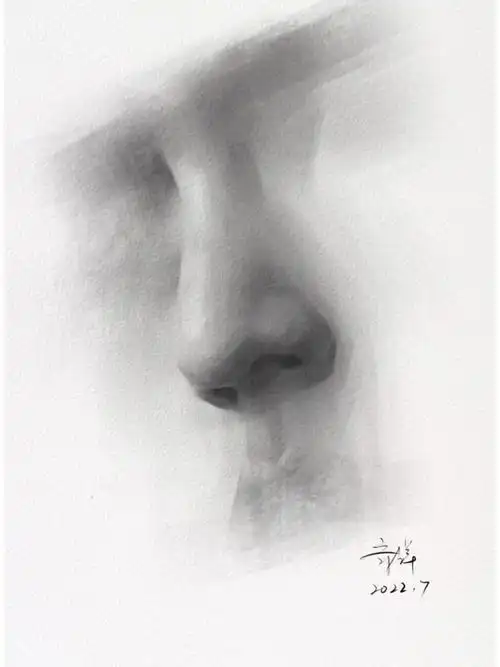 procreate鼻子素描过程