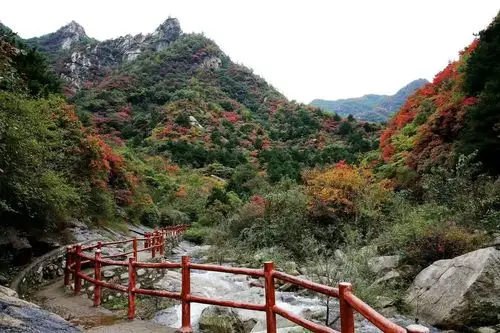 嵩县卧龙谷美景