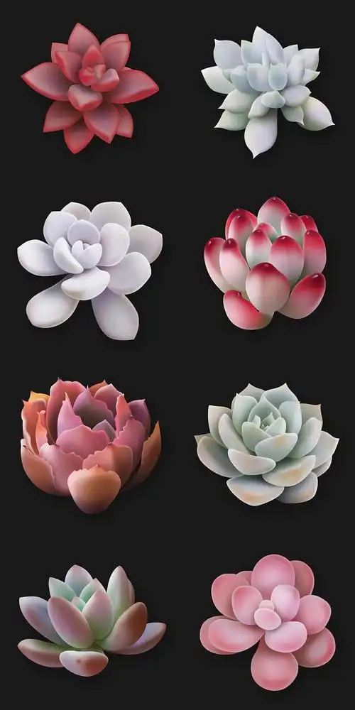 ps鼠标绘画多肉植物