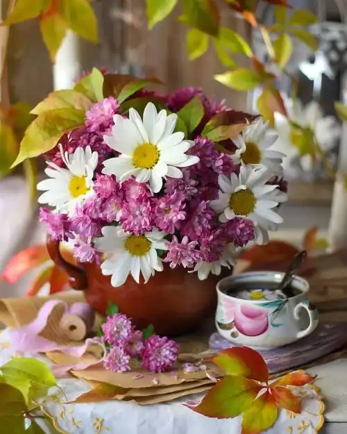 漂亮的鲜花送给你!