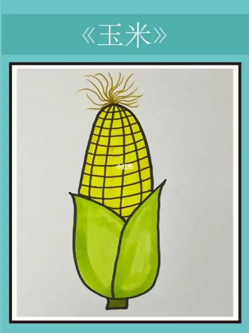 玉米简笔画教程