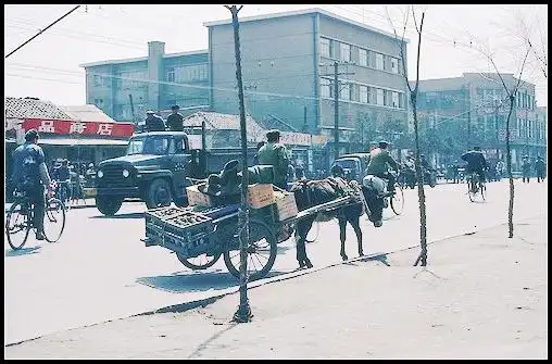 沈阳70-80年代的老照片!