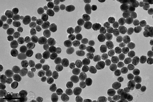 扫描电子显微镜照片