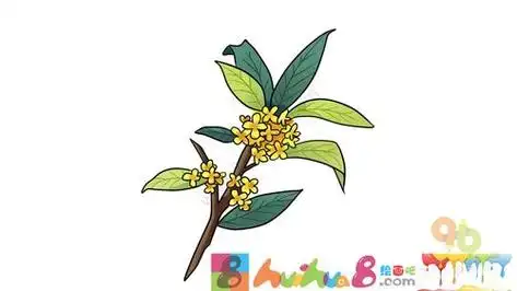 桂花简笔画桂花简笔画简单又漂亮