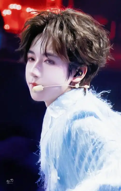 时代少年团演唱会##贺峻霖 二十弈梦鸿鹄万里