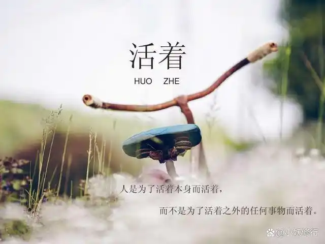 当你感叹活着不易时看看他